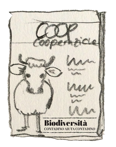 Cooperazione - Biodiversità - Vito Bortolotti